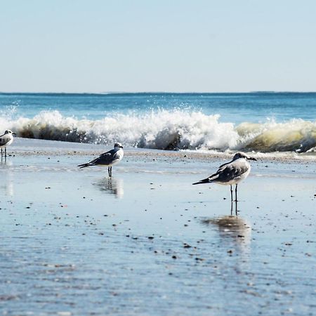 Direct Gulf Views With Deeded Beach Access Gulf Shores Dış mekan fotoğraf